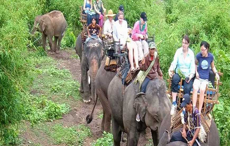 Topslip Tourism I wildlife tourism I டாப்சிலிப்