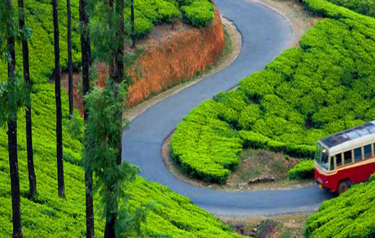 munnar tour package