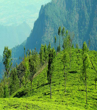 ooty-munnar