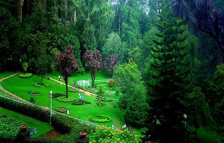 wayanad tour package